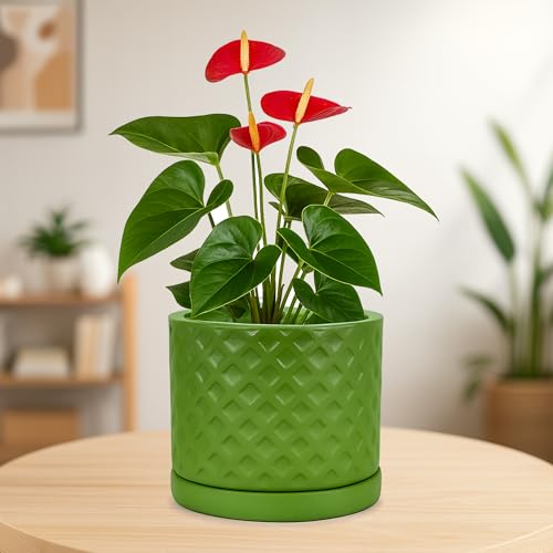 Image of Urban Plant Terracotta Pot with Saucer - Trendy Planter for Modern Home & Garden Spaces (Fresh Breath Terracotta Pot - Diamond)