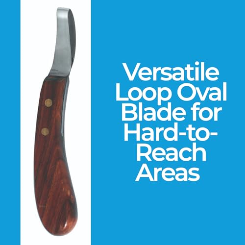 Image of 7 Inch Swiss Hoof Knife Double Edged - Stainless Steel Curved Blade Farrier Tool with Round Wooden Grip, Multipurpose Hoof Trimming Knife for Livestock. (Oval Hoof Knife)