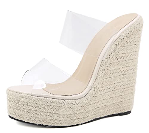 LizFoYa Women Peep Toe Espadrille Platform Heels Lucite Double Straps Wedge High Heels Beach Slide Sandal Shoes
