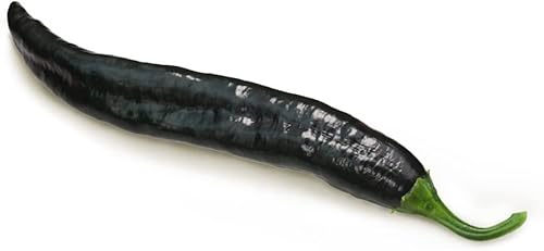 Miniatura 1 de Semillas de pimiento Pasilla LND Capsicum Annuum más de 100 semillas