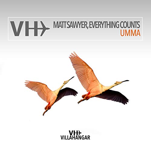 Matt Sawyer & Everything Counts