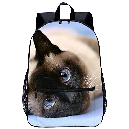 Sac à dos imprimé en 3D chat pour hommes cartable de mode et sac de voyage 45cm