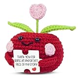 OASSIE Valentines Day Gifts for Teachers - Mini Positive Apple Crochet with Card - Appreciation Thank You Birthday Graduation End of Year School Valentine Gifts for Teacher Students Women