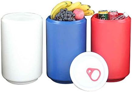 Ecocampor Rotomold Beverage Ice Barrel Cooler (White)