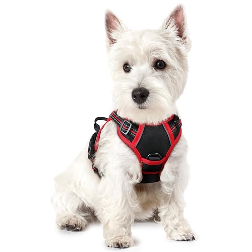 Image of rabbitgoo Dog Harness No Pull with 2 Leash Clips, Adjustable Soft Padded, Reflective Oxford No Choke Pet Vest with Easy Control Handle for Puppy, Black & Red, XS