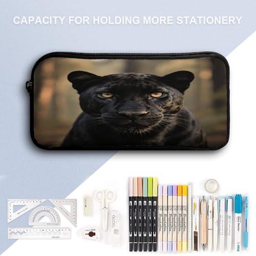 Black Panther 3pcs Lightweight Travel Backpack Printed Backpack With Lunch Pack Storage Box Case4