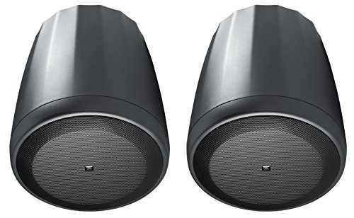 JBL Professional C65P/T Compact Full-Range Hanging Pendant Speaker, Black, Sold as Pair