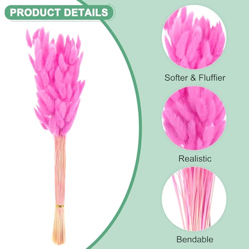 120 unidades de hierba Bunny Tails decorativa seca miniatura 2