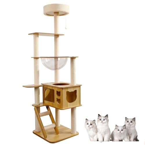 ANh[t_Lbgc[AJ[ybgȂؐLbgc[A^LbgRh~jAt}`xؐLbg^[AEhgbvp[`A