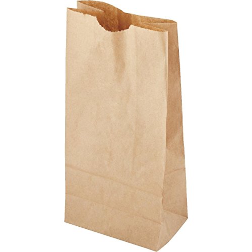 biodegradable lunch bags