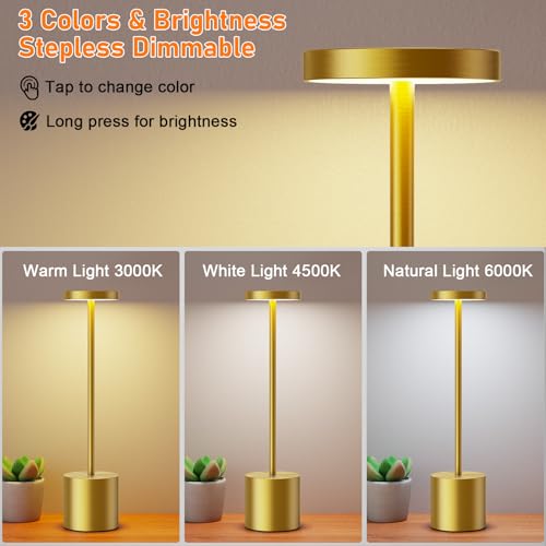 SAKRINGT Cordless Table Lamps Rechargeable,6000mAh Portable Battery Operated LED Table Light for Restaurant Outdoor 2 Pack Gold
