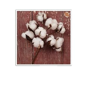 The Country House Collection Cotton Boll Floral Spray Bunch (10") The Country House Collection Cotton Boll Floral Spray Bunch 10