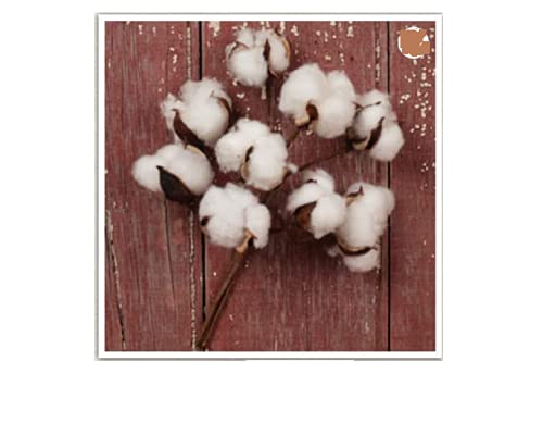 The-Country-House-Collection-Cotton-Boll-Floral-Spray-Bunch-10 The Country House Collection Cotton Boll Floral Spray Bunch 10