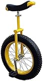 Unicycle, Beginner Balance Unicycle, Unicycle for Stage Performance for Teenagers and Adults(20 Inch)