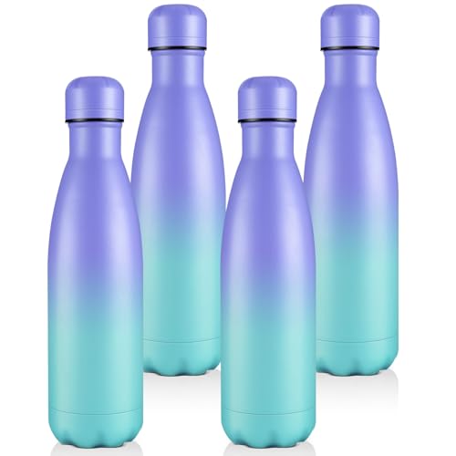 Volhoply 17oz Insulated Water Bottles MultiPack（Purple Blue,4 Pack）