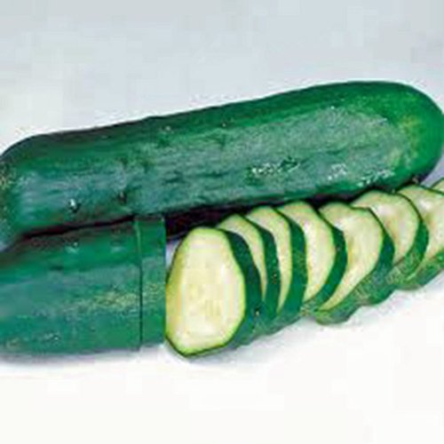 CUCUMBER, LONG GREEN IMPROVED, HEIRLOOM, 500 SEEDS, GREAT FOR SALADS