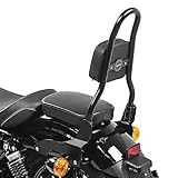 Craftride respaldo sissybar para montaje fijo a la moto. Portaequipajes disponible por separado