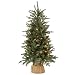 National Tree 4 Foot Burlap Tree with 150 Clear Lights (ED3-300-40)