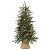 National Tree Company Pre lit Artificial Mini Christmas Tree Includes Small Lights and Cloth Bag Base for Tabletop or Desk Burlap 4 ft 4 Green