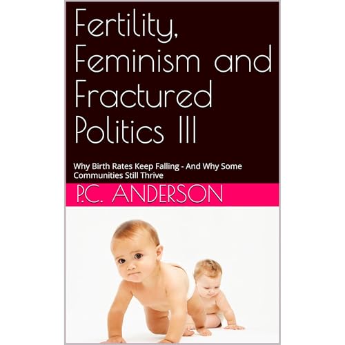 Fertility, Feminism and Fractured Politics III Audiolibro Por P.C. Anderson arte de portada
