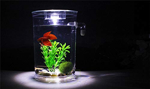 Pecera de plástico para peces pequeños, minipecera cuadrada, pecera redonda, pecños, minipecera cuadrada, pecera redonda, pecera ecológica, para exhibición en el escritorio (pecera cuadrada)
