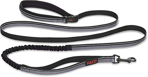 Guinzaglio Active HALTI - Impugnatura imbottita in neoprene, tessuto ammortizzante 3M catarifrangente. Guinzaglio utilizzabile senza mani, ideale per cani medi e grandi (Taglia L, Nero)