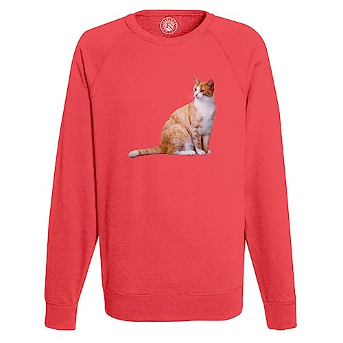 Sweat shirt homme gros chat roux poil long mignon chat de maison pull imprimé