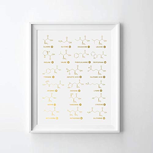 Amino Acid Gold Foil Art Print Twenty Essential Amino Acid Gold Foil Print Wall Art Decor (08