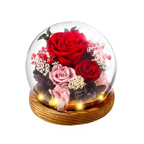 pisyae Forever Flowers Eternal Roses Gifts for Her,Red Preserved Flowers in Glass Dome with LED Light for Delivery Women Mom Wife Girlfriend Grandma on Birthday Valentines Mothers Day