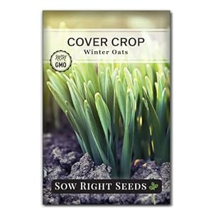 Sow Right Seeds – Winter Oats Seed for Planting – Cover Crops to Plant in Your Home Vegetable Garden – Enriches Soil – Suppresses Weeds – Helps Erosion – Non-GMO Heirloom Seeds – Great Gardening Gift