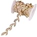 Phicmanlo 1 Yard Crystal Leaves Elegant Rhinestone Trimming for Bridal Dress Garment Sewing Trim DIY Fashion Accessories Rhinestone Chain (Gold)