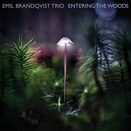 Emil Brandqvist Trio