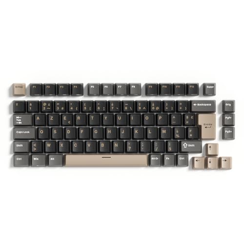 RK ROYAL KLUDGE Ensemble de Keycap AZERTY Français 82 Keys, PBT Double-Shot Profil OEM, Compatible avec Clavier Mécanique Gamer 75%/65%/60% (Grey, OEM Profil)