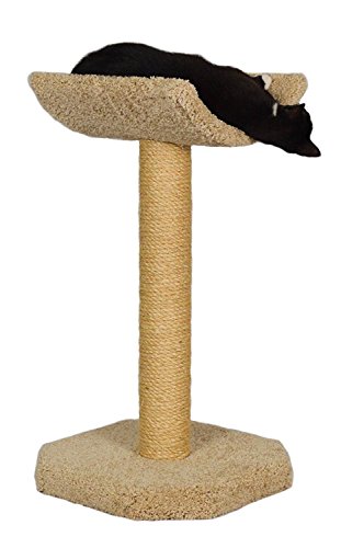 Necesa Molly and Friends Kitty Cot Premium Handmade One Tier Sisal Cat Scratching Post Furniture with Cradle, Model Scr/c, Beige