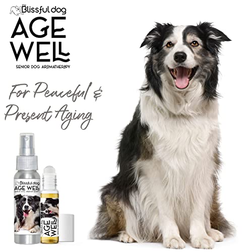Image of The Blissful Dog Border Collie Age Well Dog Aromatherapy Roll-On Bottle for Your Dog's Peaceful Ageing