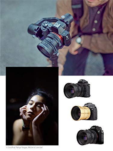 Image of Lomography Petzval 55mm f /1.7 MKII Bokeh Control Art Lens - Compatible with Sony E Mount - Mirrorless Camera - Aluminium Black