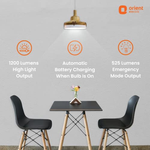 Image of Orient Electric Emergency /Inverter Lamp (15 W, Pack of 2)