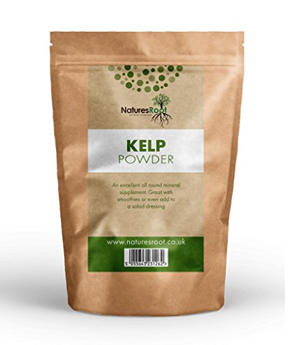 Preisvergleich Produktbild Natures Root Premium Kelp Seetang Pulver 500g - NATÜRLICHE GESICHTSMASKE / HAUTREGENERATION / FEUCHTIGKEITSSPENDEND