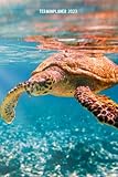 terminplaner 2023: schildkröten design jahresplaner und kalender von januar bis dezember 2023 mit ferien, feiertagen und monatsübersicht - organizer und zeitplaner für 1 jahr