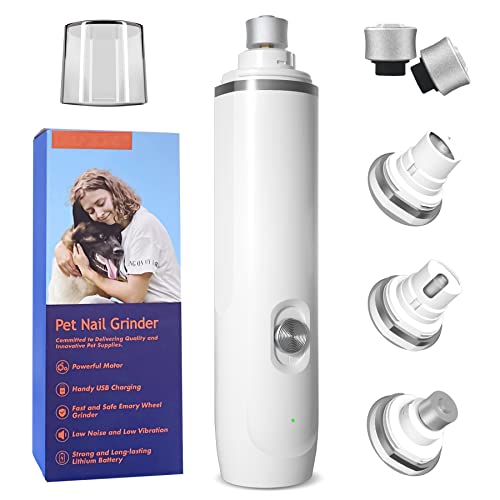 The 10 Quietest Cat Breeds You Need to Know About A Comprehensive