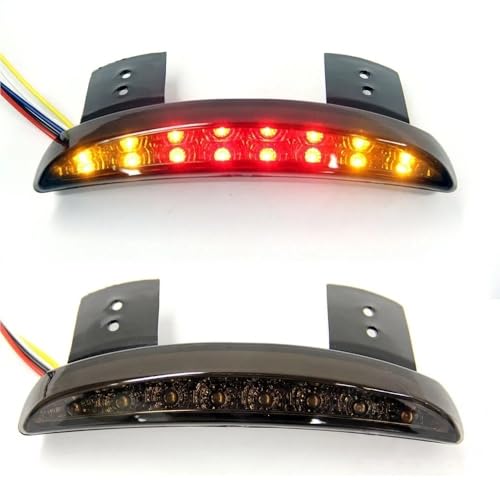 Luz trasera de motocicleta para rutas nocturnas y viajes en Sportster 883 1200 7