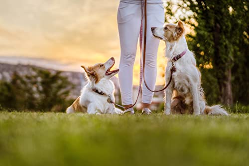 Tickless EcoPet – Biologisch abbaubarer, natürlicher, chemikalienfreier Ultraschall-Zecken- und Flohschutz für Haustiere – Braun