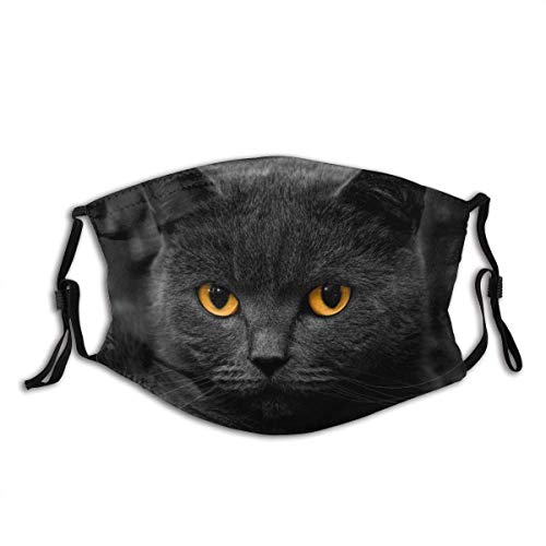 Preisvergleich Produktbild Augen Dunkle Katzen Graustufen Monochrome Kätzchen Selektive Färbung Gesichtsdekorationen Kopfbedeckungen FA-CE Co-Ver Mit Filter Bandana