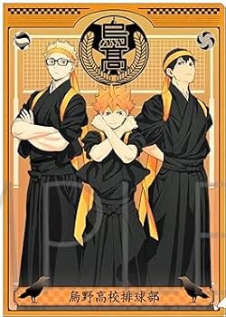 ハイキュー　体験　入部　烏野　日向　ポジション　カード　ミニ　クリアファイル ハイキュー 体験 入部 烏野 日向 ポジション カード ミニ クリア