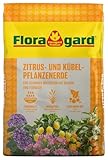 Floragard Zitrus- & Kübelpflanzenerde 10 L – lockere, wasserdurchlässige Spezialerde für Zitronen, Orangen, Oliven & mediterrane Kübelpflanzen – nährstoffreich für kräftiges Wachstum