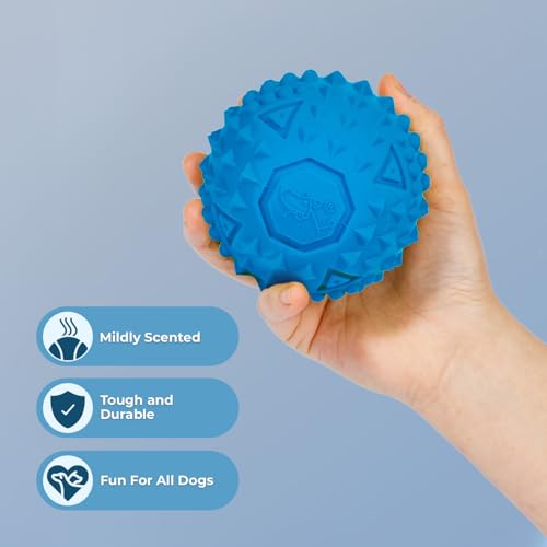 Image of Best Pet Supplies Squeaky Dog Toys with Soft Durable Fabric for Small, Medium and Large Pets Interactive Toy for Indoor Play, Supports Active Biting and Play - Blue (L:3.5 inch)