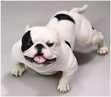 Amazon Ainiyf アメリカンブリー 犬 置物 装飾収集品 家庭用 樹脂オーナメント 像 オーナメント リビングルーム 車 インテリア装飾 カーアクセサリー 23 12 16 5cm 9 1 3 1 3 3インチ インテリア オンライン通販 Amazon Ainiyf アメリカンブリー 犬 置物 装飾収集品 家庭用 樹脂オーナメント 像 オーナメント リビングルーム 車 インテリア装飾 カーアクセサリー 23 12 16 5cm 9 1 3 1 3 3インチ インテリア オンライン通販