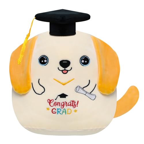 Congrats Gift Bag Class of 2026 - Graduation Gift Bag Blue and Gold Congrats Grad Bags with Card Tissue Paper Envelope Congratulations Gifts Bag for Men Women Student Teacher College Graduation 12 Inch