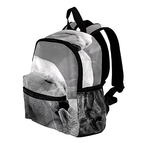 Sac à dos pour garçons style multicolore 7 bleu ciel compact 30,5 cm - 3