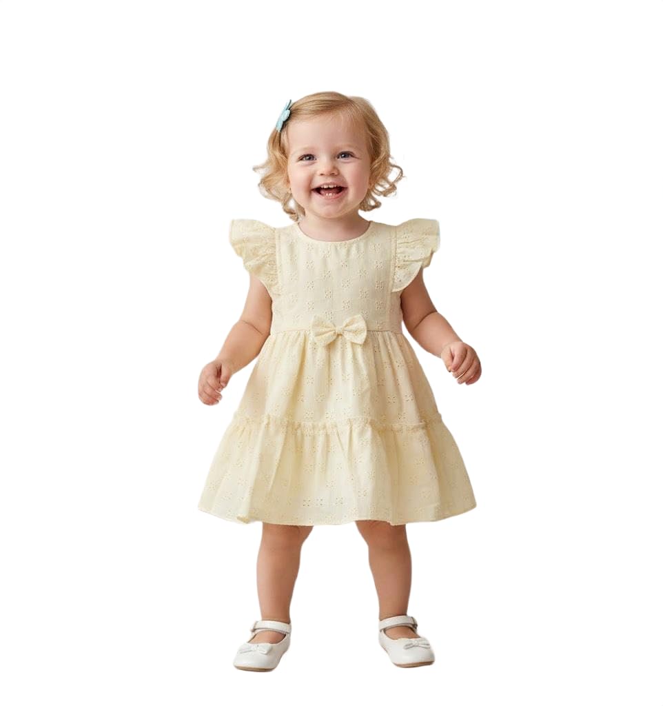 Baby Girls Premium Cotton Embroidered Dress | Lightweight Comfortable Dress Party, Photoshoot, Birthday, Casual Outdoor Wear for Kids-image-36